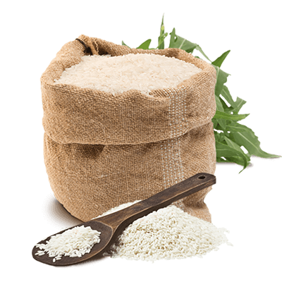rice2